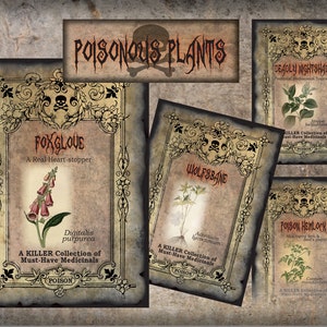 May include: Four vintage-style labels with illustrations of poisonous plants. Each label features a skull and crossbones, the plant's common name, a description, and the scientific name. The labels are titled "Poisonous Plants", "Foxglove", "Wolfsbane", "Deadly Nightshade", and "Poison Hemlock".