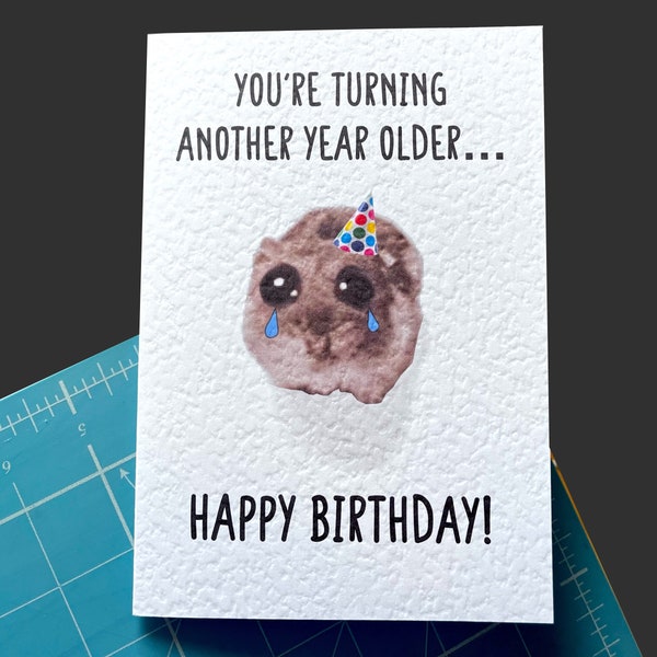 Sad Hamster Viral Meme Carte de voeux - Joyeux anniversaire - Vous avez un an de plus... - Carte humoristique - Funny Meme