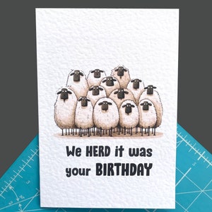 Carte drôle de moutons, nous gardons le troupeau, c'était votre anniversaire, dessin drôle de troupeau de moutons - mouton mignon - bétail