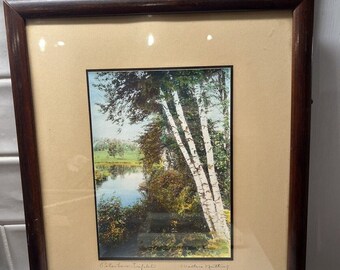 Antique Wallace Nutting Hand Tinted Photo Of Birch Trees Petersboro Triplets