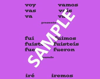 Spanish ir Verb Poster- Past, present, future