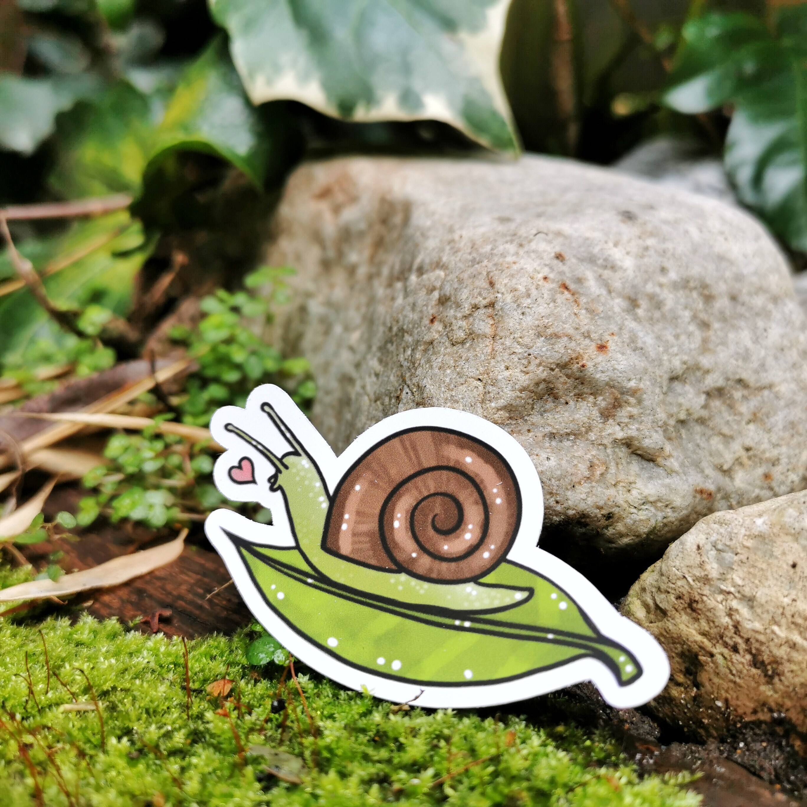 Cute Snail Sticker / Nature Art / Green and Brown / Snail on Etsy UK