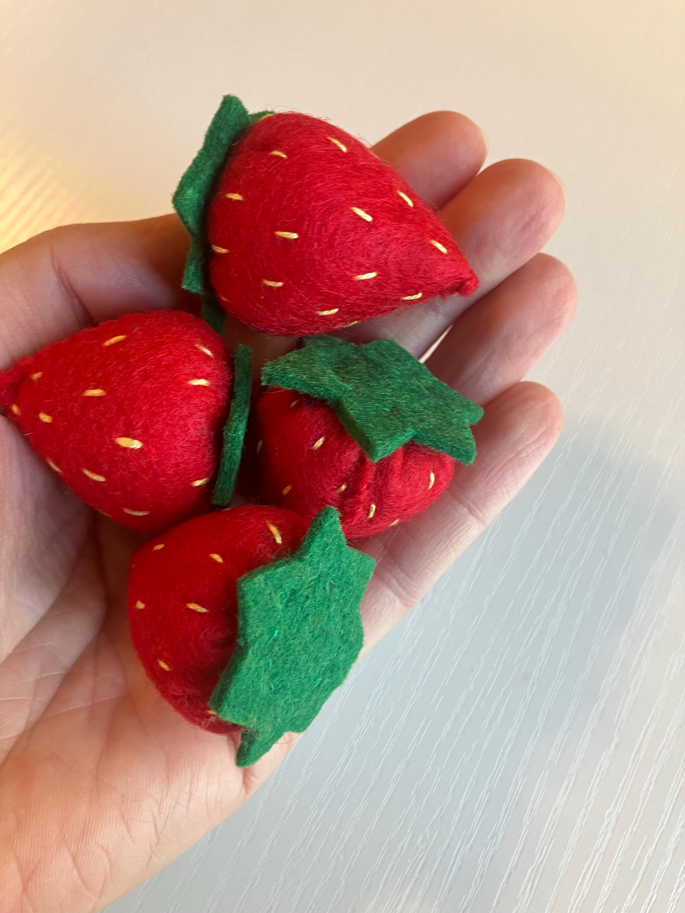 Felt Fruit Set: Pretend Play Food, Play Kitchen - Etsy