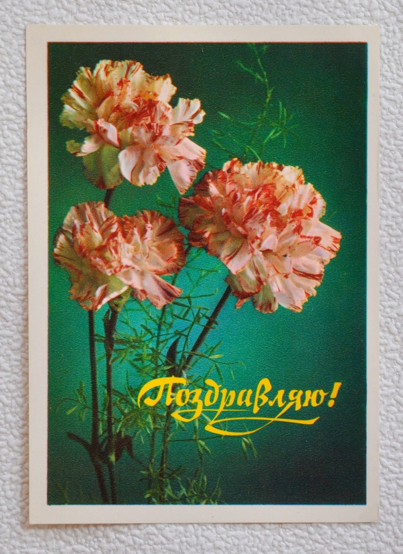 Made in USSR Postcard USSR 1977 Russian vintage illustration Vintage postcard Scrapbooking. Greeting card Unused