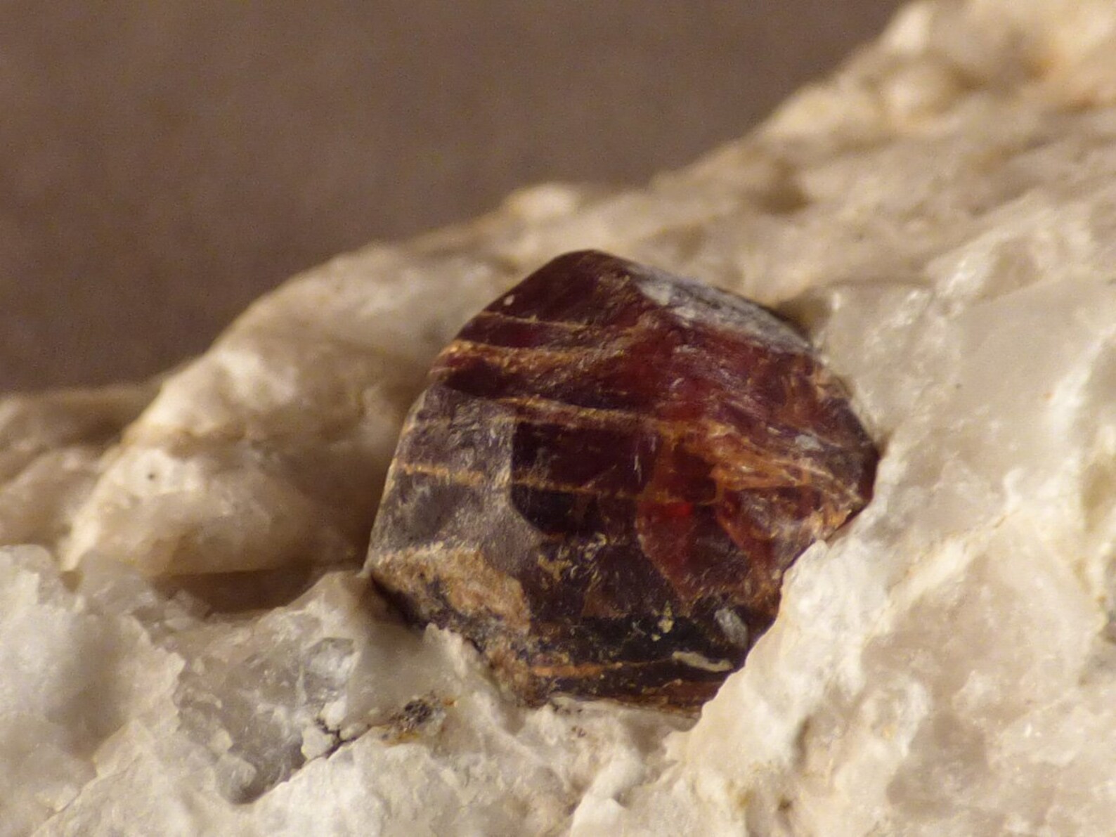 Namibian Natural Red Pyrope Garnet in Quartz Specimen 60mm | Etsy