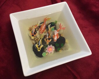 Miniature koi pond: 5 mixed koi