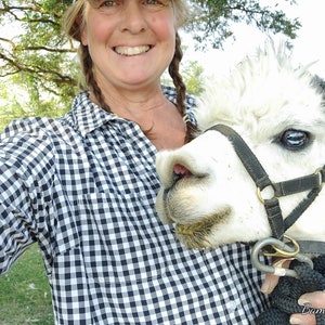 May include: A woman wearing a black and white checkered shirt smiles while holding a white alpaca with a black halter and lead rope. The alpaca has a dark eye and a brown nose.