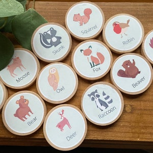 Animal Wooden Learning Tiles + Magnets - Toddler Education - Pets, Ocean, Farm, Safari, Woodland-Montessori, Charlotte Mason