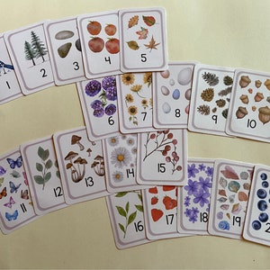 Nature-themed Number and Counting Cards 1-20 - Watercolor-style ...