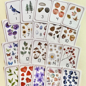 Tarjetas de conteo y números con temática de la naturaleza 1-20 - Estilo acuarela, Materiales para aprender números + Contar - Jardín de infantes + Educación preescolar en el hogar