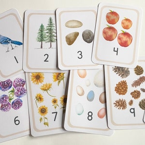 Tarjetas de contar y números con temática de la naturaleza - Estilo acuarela, materiales para aprender números + contar - Jardín de infantes + Educación preescolar en el hogar