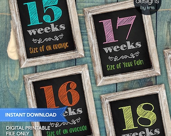 Weekly Pregnancy Sign - Week by Week Belly Sign - Week by Week Pregnancy Sign - Instant Download - Photo Prop - Pregnancy Photo Prop