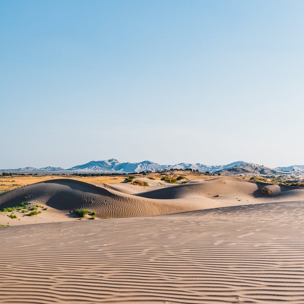 Little Sahara Sand Dunes | Utah Sand Dunes Photograph | Sahara Photography | Sand Dunes Wall Art | Photo from the Little Sahara Sand Dunes