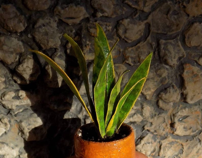 Dollhouse Miniature Sansevieria Snake plant Dollhouse Etsy