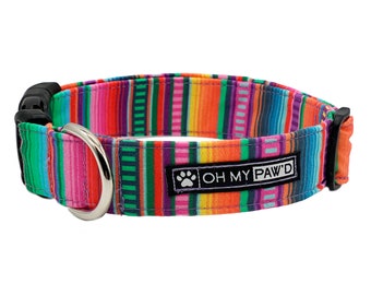 a little unique dog collars