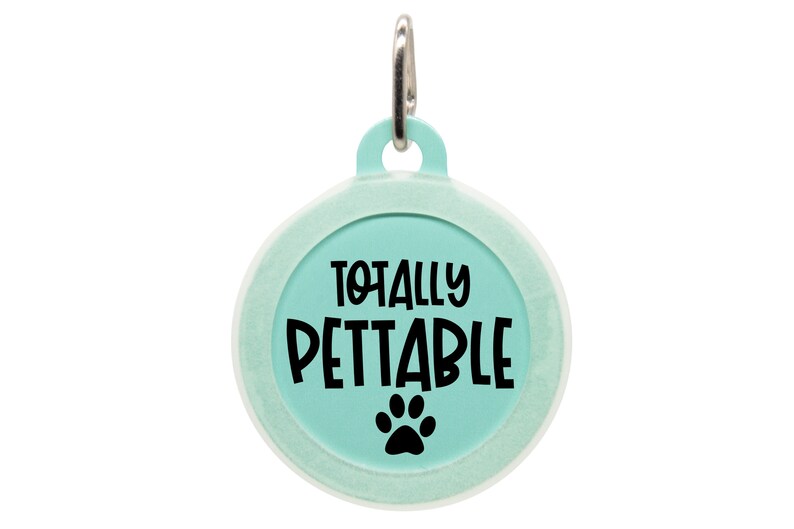 Quiet Dog Tags Jingle Free Fun Dog Tags Noiseless Name Dog Etsy