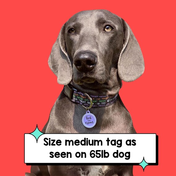 Dog tags noiseless online