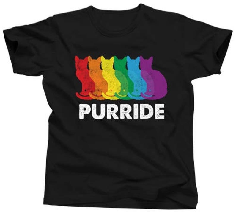 Funny Gay Pride Cat TShirt LGBT Purride Shirt Gay Rights Etsy