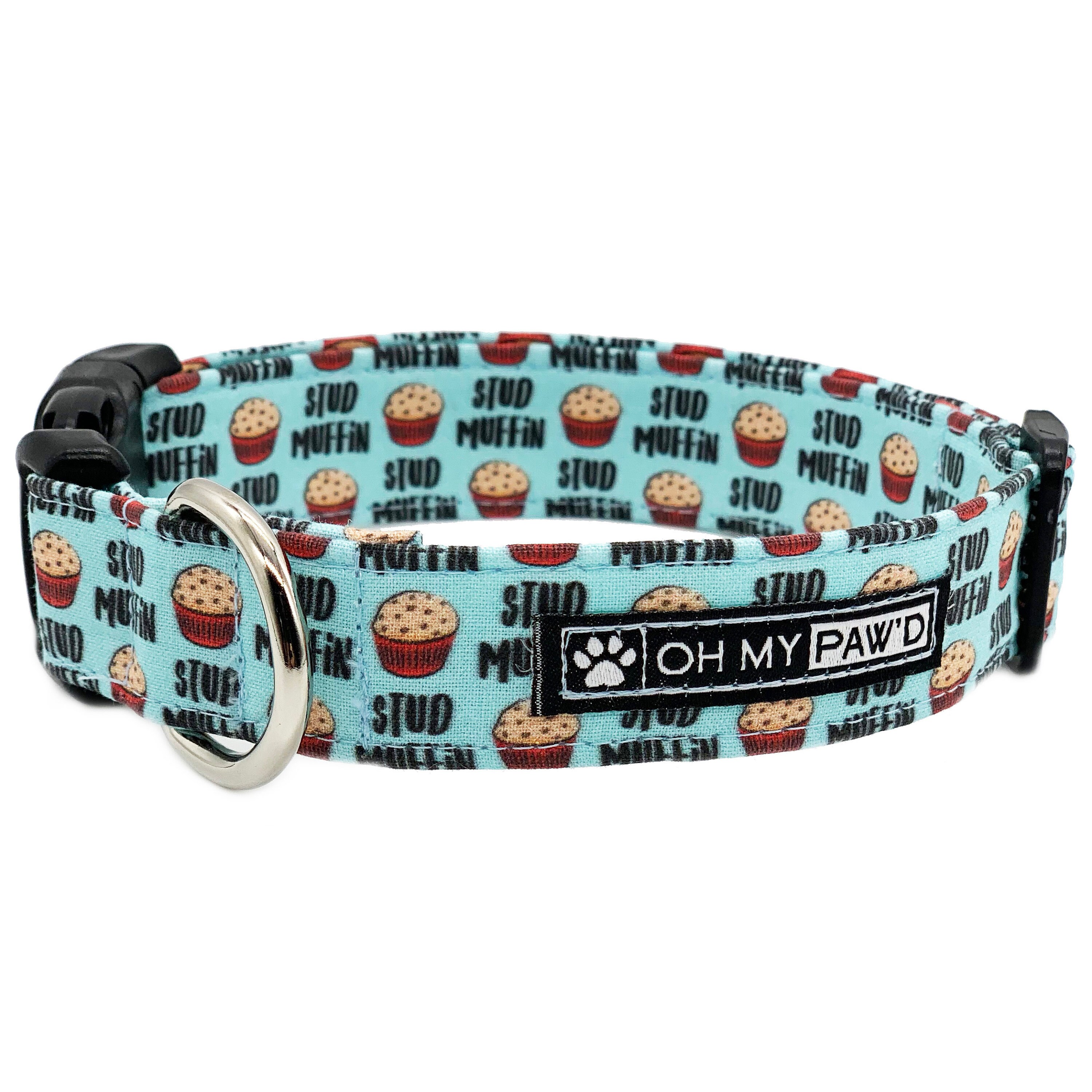 cool boy dog collars
