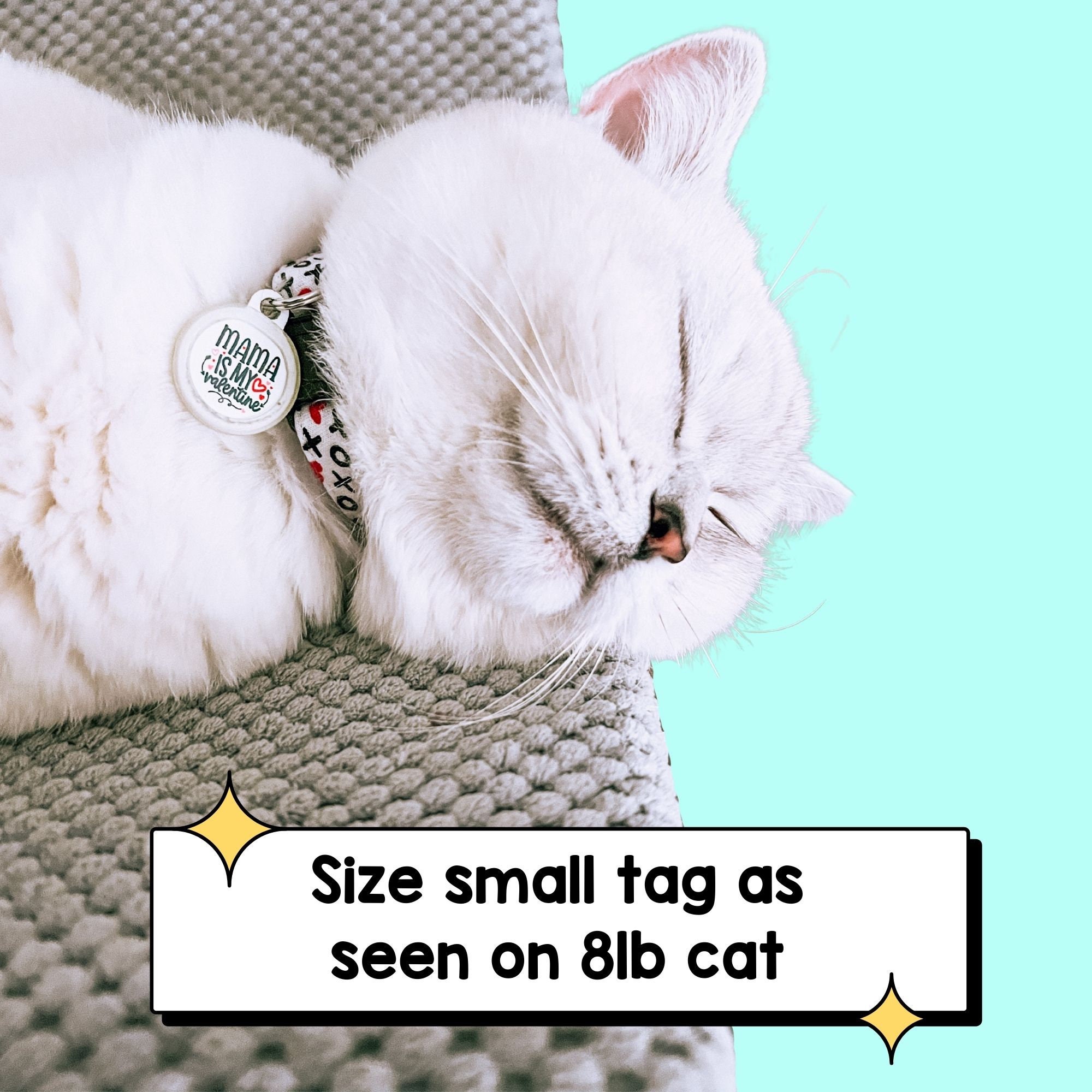 Cat silencing collar discount