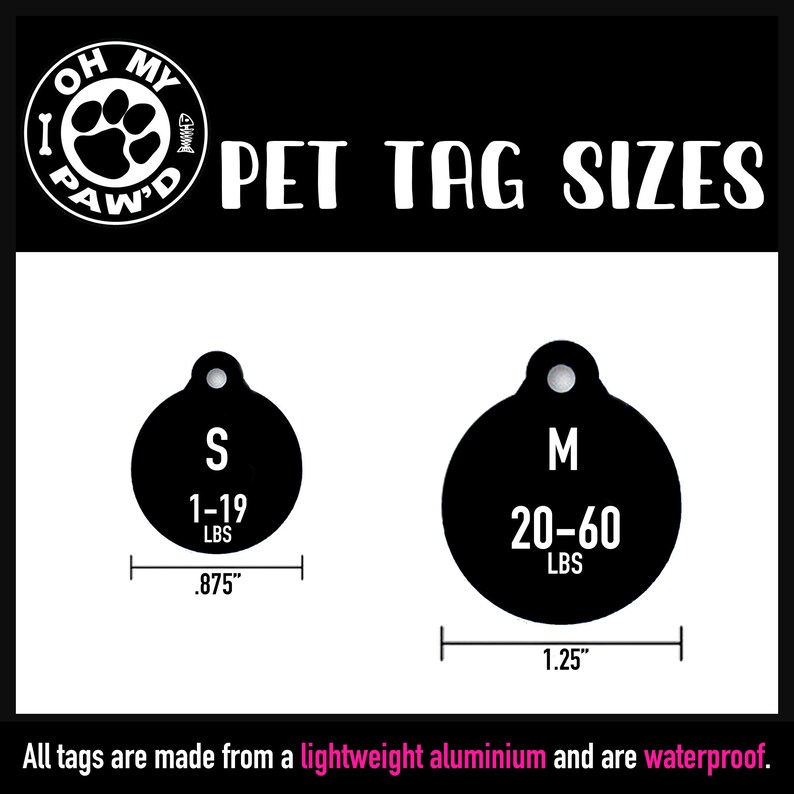 Chick Dog Tag Funny Boy Dog Collar Tag Personalized Etsy