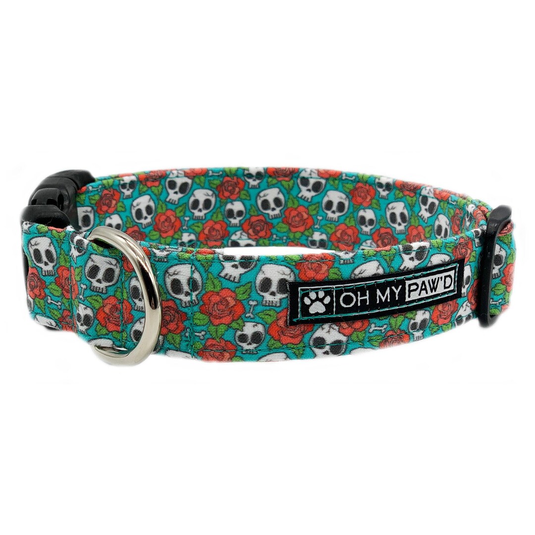 Day of the Dead Dog Collar Mexican Skull Dog Collar Cute Etsy