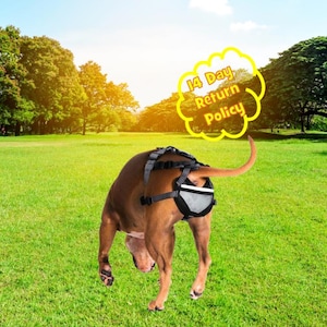Può includere: Un cane marrone che indossa un'imbracatura per cani nera e grigia con una tasca a rete sul retro. Il cane è in piedi su un prato erboso verde con alberi sullo sfondo. Una nuvola di dialogo gialla sopra il cane dice "Politica di restituzione di 14 giorni".