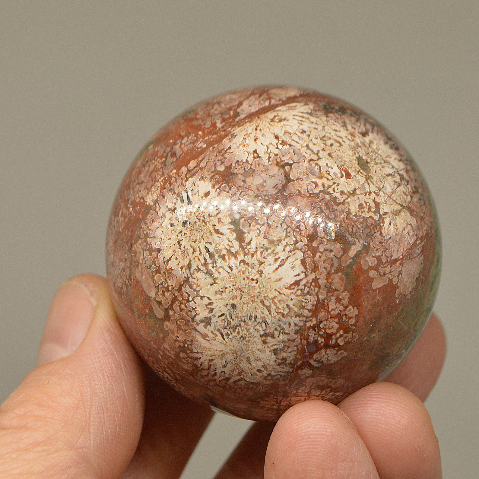 Jasper Sphere RARE Chrysanthemum stone ball/Jasper ball 51 mm Etsy