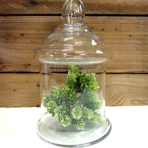 Vintage Clear Glass Apothecary Jar, Vintage Storage Jar with Lid