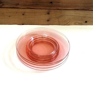 Pink Depression Glass Luncheon Plates, Blush Pink 8&quot; Round Plates Cambridge Glass