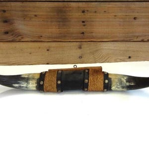 Authentic Mounted Bull Horns with Leather & Rope Details 20&quot; Long
