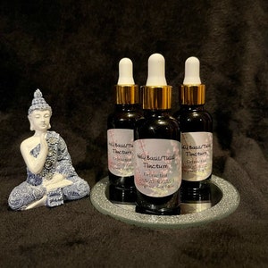 Holy Basil (Tulsi) Tincture - 10 month extract