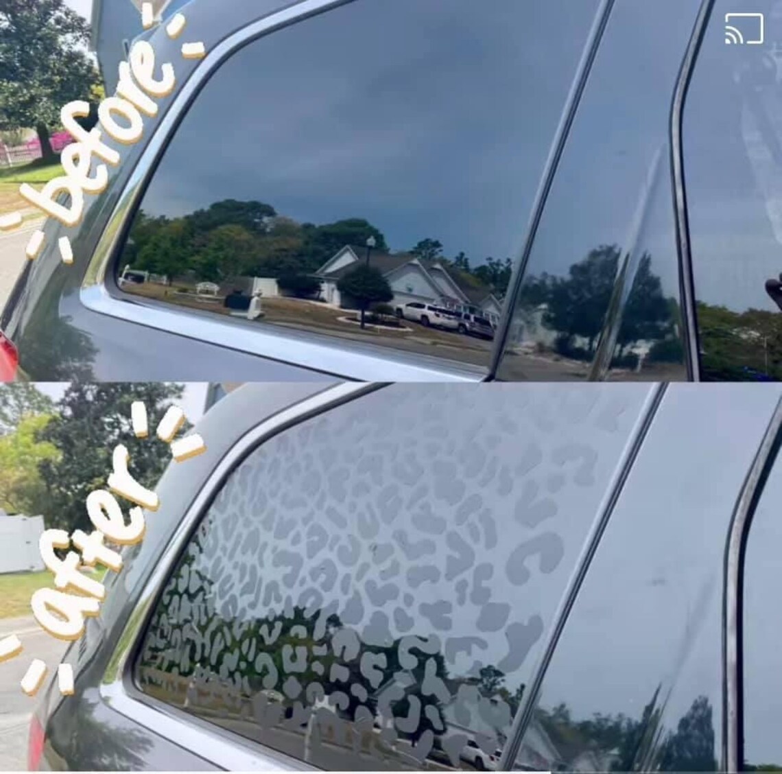 animal print window coverings animal print window coverings