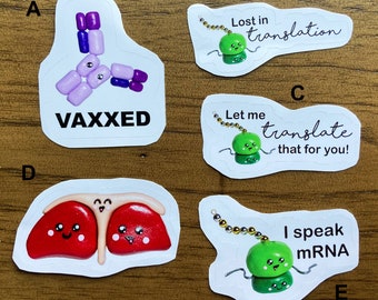 Molecular biology stickers: liver, antibody, ribosome