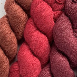 May include: Close-up of several skeins of yarn in shades of red and brown. The yarn is tightly twisted, showing a textured surface. The colors range from a deep rust to a vibrant red, with a hint of burgundy. Ideal for knitting and crochet projects.