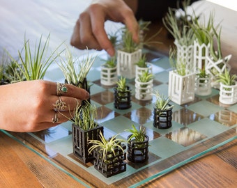 Air Plant Living Chess Set - Glass Board