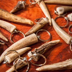 May include: A collection of antler keychains with silver-colored key rings. The keychains are made from natural-colored antlers, with variations in texture and shape. They are arranged on a reddish-brown wooden surface.