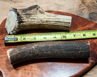 Large Elk Antler Dog Chew