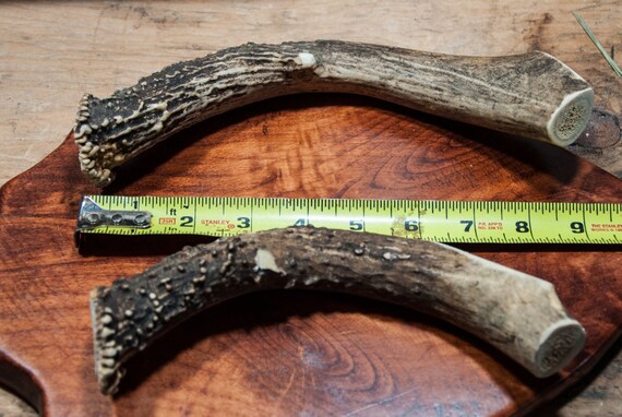 XL Deer Antler Dog Chew 8"+ - Etsy