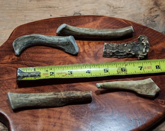May include: Five pieces of antler bone of varying sizes and shapes, laid out on a wooden surface with a yellow measuring tape. The tape measures 8 inches.