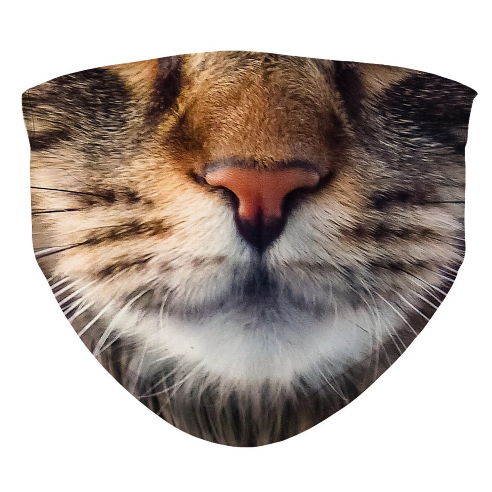Maine Coon Face Mask Cute Kitten Face Mask Reusable and Etsy