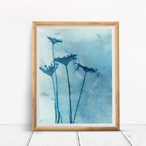 Cyanotype Print Botanical Wall Art, Blue Queen Anne Flower Bouquet, Wet Cyanotype Fine Art Print image 5