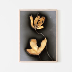 May include: Abstract art print featuring two golden-yellow flower shapes on a dark grey background. The artwork is framed in a light wood frame, creating a modern and minimalist aesthetic. The flowers have a textured appearance.