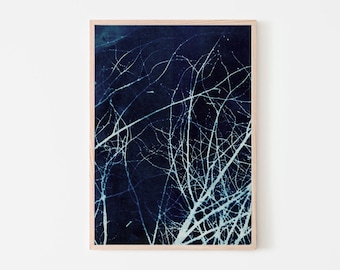 Abstract Botanical Fine Art Print, Cyanotype Art to Frame, Modern Nature Wall Art, Blue Wall Decor, Giclee Print