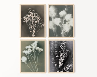 Ensemble de 4 oeuvres d'art murales imprimables, botanique en téléchargement numérique, photographie de fleurs, ensemble d'impressions d'art