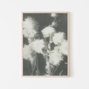 May include: A framed monochrome floral print. The image shows a close-up of white, fluffy flowers against a dark backdrop. The flowers are softly focused, creating a dreamy effect. The frame is a light wood colour.