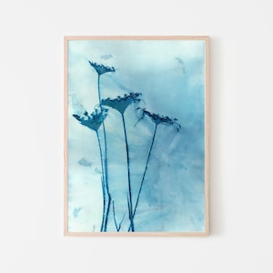 Cyanotype Print Botanical Wall Art, Blue Queen Anne Flower Bouquet, Wet Cyanotype Fine Art Print image 1