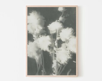 Afdrukbare abstracte botanische print, monochromatische minimalistische moderne muurkunst, alternatieve fotografie Instant Download prints om in te lijsten