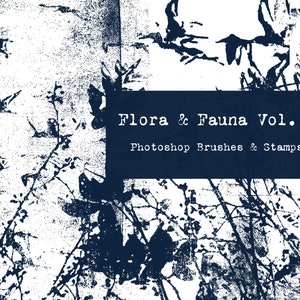 Grunge Flora & Fauna Vol 2, Photoshop Brushes Stamps Botanical Clip Art Texture PNG ABR, Junk Journal Floral Foliage Plants, Birds in Flight