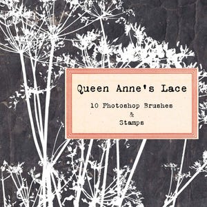 Queen Anne&#39;s Lace, Photoshop Brushes Stamps Botanical Clip Art Texture PNG ABR, Junk Journal, Leaves & Flowers, Digital Stamps, Collage